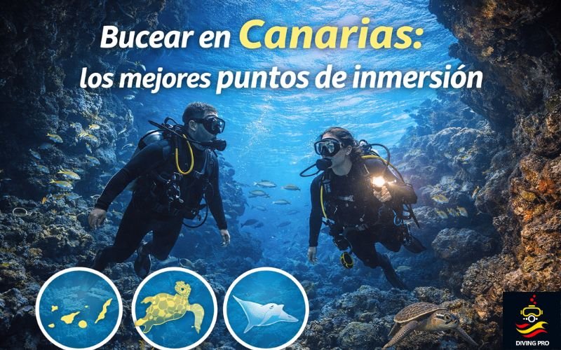 Bucear en Canarias