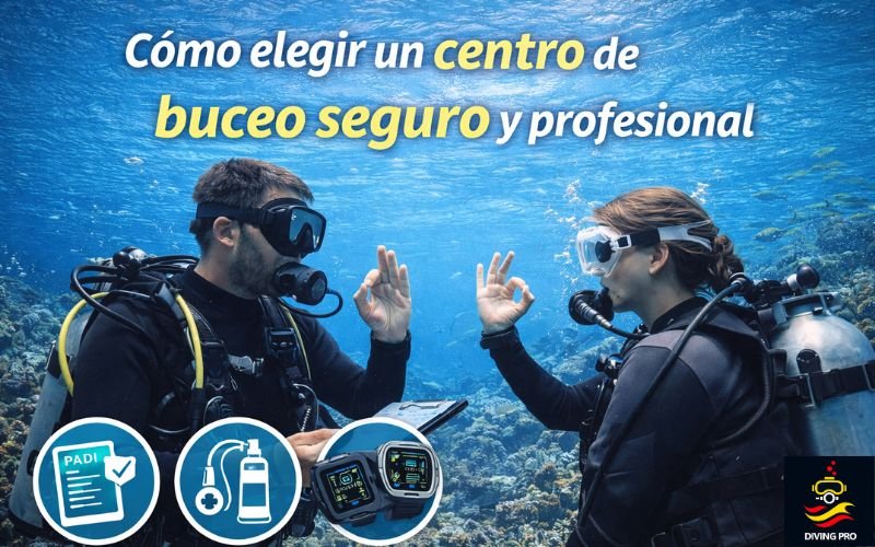 Cómo elegir un centro de buceo seguro y profesional Cómo elegir un centro de buceo seguro y profesional