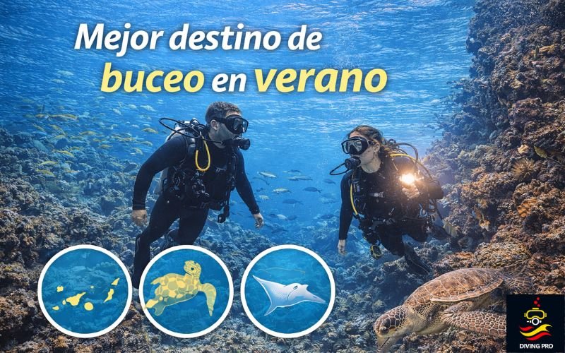 Mejor destino de buceo en verano