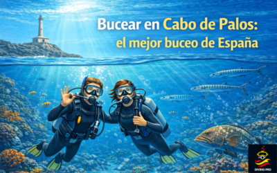 Bucear en Cabo de Palos: el mejor buceo de España